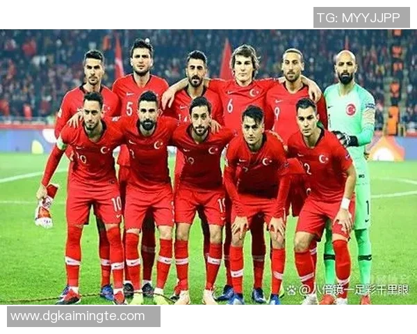 比利时与意大利足球对决全面分析战术特点与球员表现