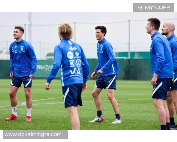 芬兰与冰岛足球赛精彩对决乐视直播全程回放与分析