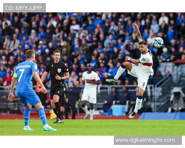 葡萄牙与冰岛全场比赛精彩回顾与分析