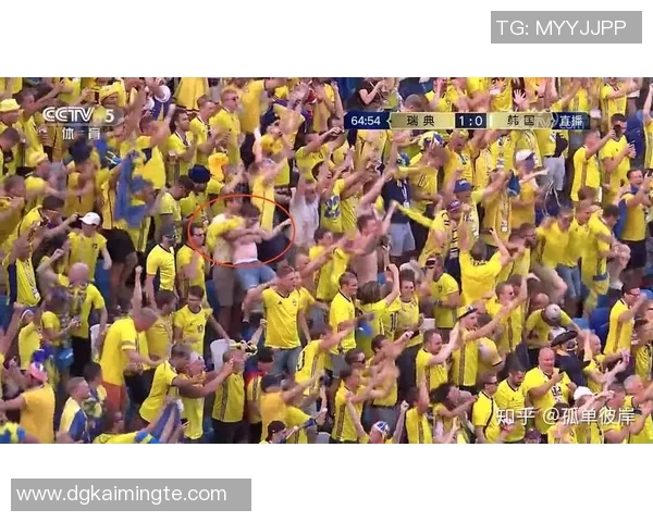 韩国与瑞典足球赛比分分析及精彩瞬间回顾