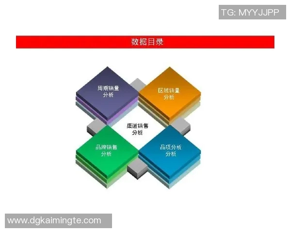 2010年国篮对阵巴西的精彩对决回顾与分析