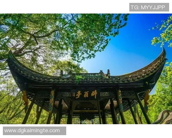 山行与岐阜的奇妙对比探寻自然与人文的交融之美