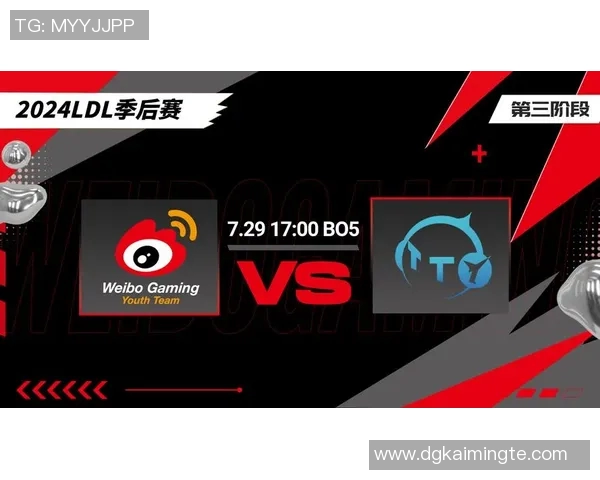 聚焦英雄联盟V5战队实力分析与未来发展潜力探讨MBA