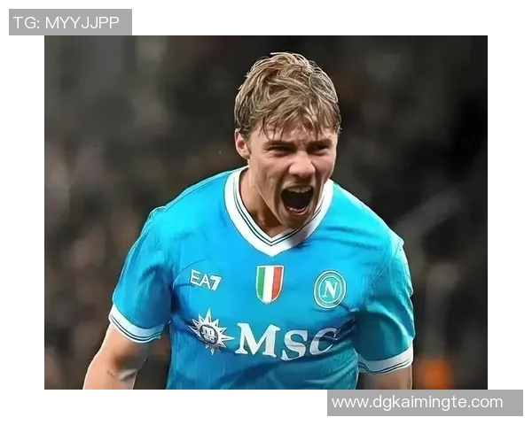 霍伊伦的传奇人生与时代变迁中的不屈精神探索 霍伊伦的传奇人生与时代变迁中的不屈精神探索