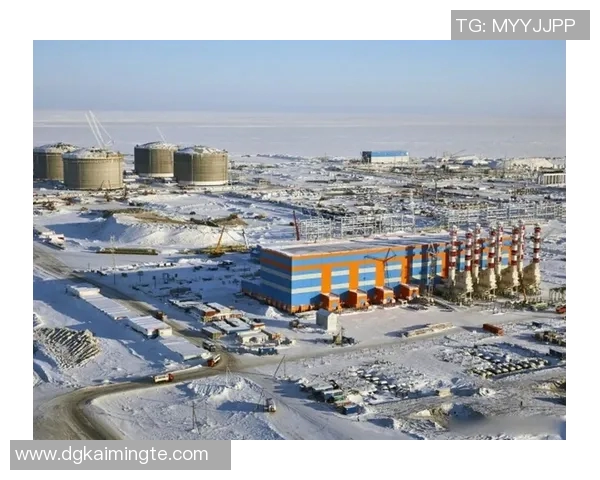 亚马尔地区的地缘政治变迁与能源开发前景分析 亚马尔地区的地缘政治变迁与能源开发前景分析