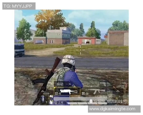 和平精英战术解析LNG快攻体系的优势与实战应用探讨