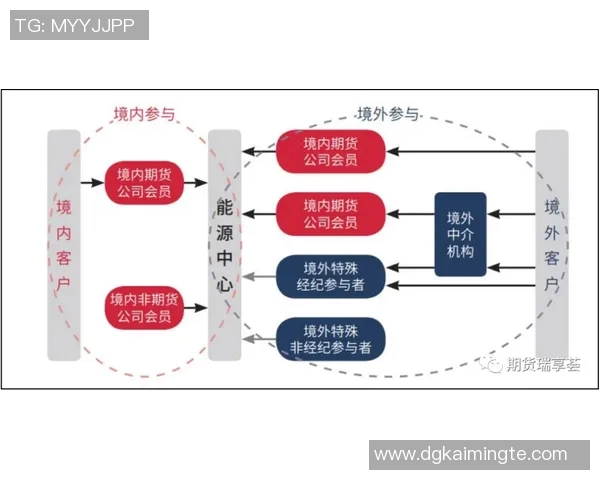 独家解析西安排球队比赛经验的差异与影响分析MBA