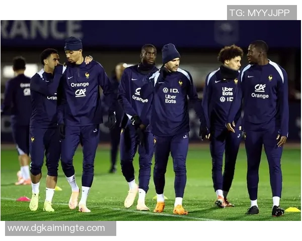 男篮世预赛精彩对决法国队迎战芬兰队全力争胜